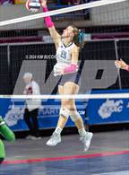 Photo from the gallery "Philip Barbour vs. Charleston Catholic (WVSSAC Class AA Semifinal)"