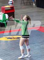 Photo from the gallery "Philip Barbour vs. Charleston Catholic (WVSSAC Class AA Semifinal)"
