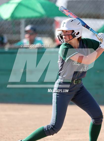 Thumbnail 2 in Templeton @ Highland (CIF-CS D3 Playoffs)  photogallery.