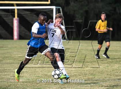 Thumbnail 1 in Universal Academy @ Carrollwood Day photogallery.
