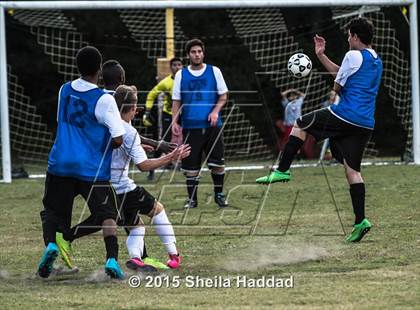 Thumbnail 1 in Universal Academy @ Carrollwood Day photogallery.