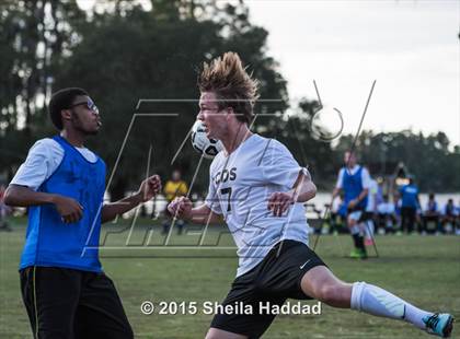 Thumbnail 1 in Universal Academy @ Carrollwood Day photogallery.