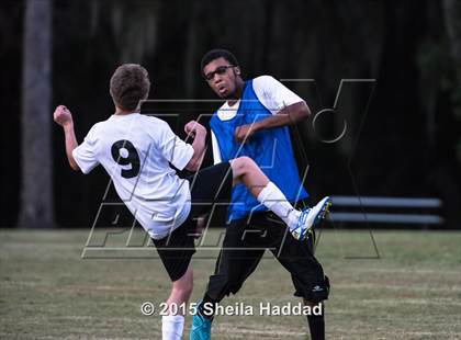 Thumbnail 1 in Universal Academy @ Carrollwood Day photogallery.