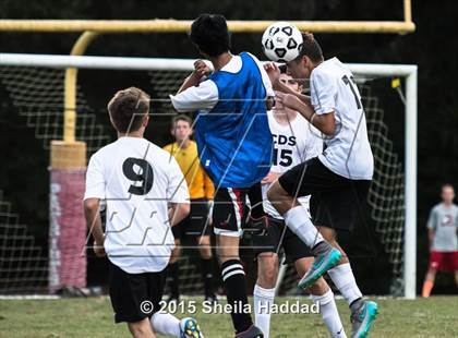 Thumbnail 1 in Universal Academy @ Carrollwood Day photogallery.