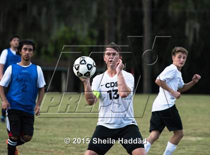 Thumbnail 1 in Universal Academy @ Carrollwood Day photogallery.