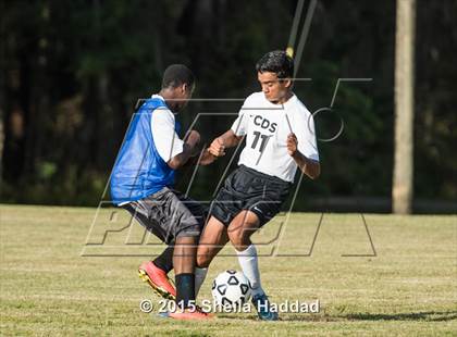 Thumbnail 3 in Universal Academy @ Carrollwood Day photogallery.