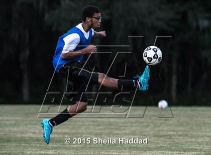 Thumbnail 3 in Universal Academy @ Carrollwood Day photogallery.