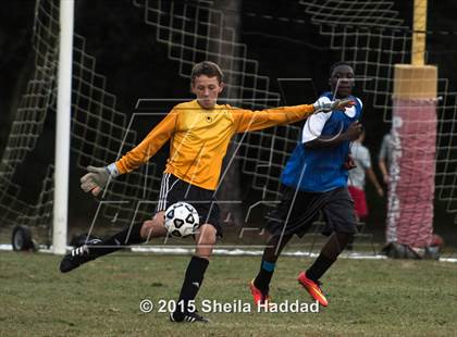 Thumbnail 1 in Universal Academy @ Carrollwood Day photogallery.
