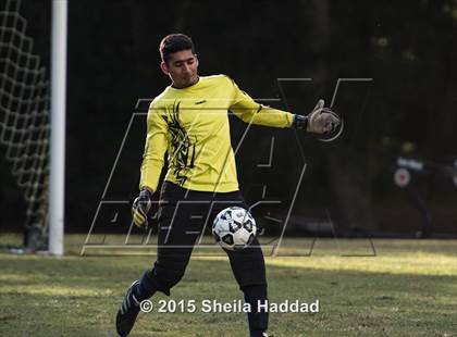 Thumbnail 1 in Universal Academy @ Carrollwood Day photogallery.