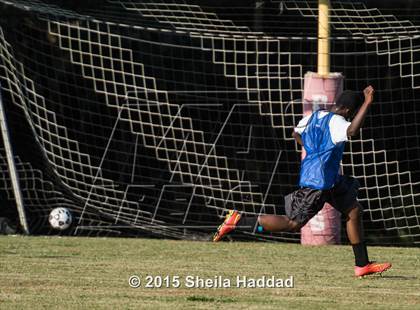 Thumbnail 3 in Universal Academy @ Carrollwood Day photogallery.