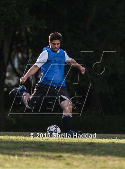 Thumbnail 3 in Universal Academy @ Carrollwood Day photogallery.