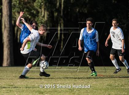 Thumbnail 2 in Universal Academy @ Carrollwood Day photogallery.
