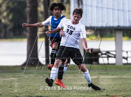Thumbnail 2 in Universal Academy @ Carrollwood Day photogallery.