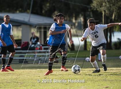 Thumbnail 2 in Universal Academy @ Carrollwood Day photogallery.