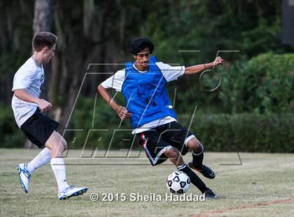 Thumbnail 3 in Universal Academy @ Carrollwood Day photogallery.