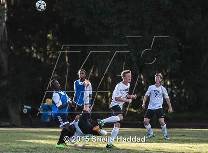 Thumbnail 1 in Universal Academy @ Carrollwood Day photogallery.