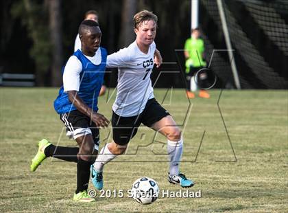 Thumbnail 3 in Universal Academy @ Carrollwood Day photogallery.