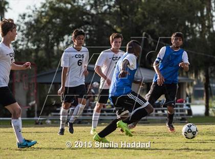Thumbnail 2 in Universal Academy @ Carrollwood Day photogallery.