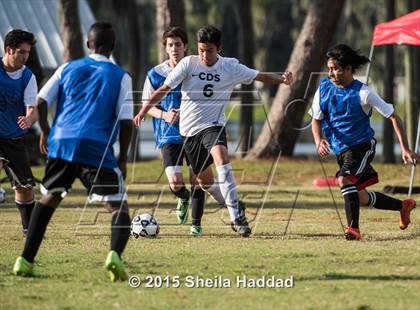 Thumbnail 3 in Universal Academy @ Carrollwood Day photogallery.