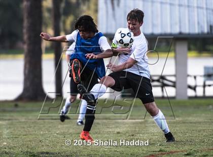 Thumbnail 1 in Universal Academy @ Carrollwood Day photogallery.