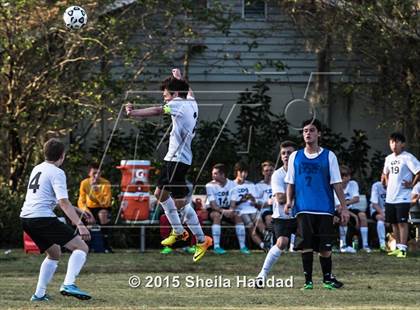 Thumbnail 2 in Universal Academy @ Carrollwood Day photogallery.