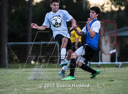 Thumbnail 3 in Universal Academy @ Carrollwood Day photogallery.