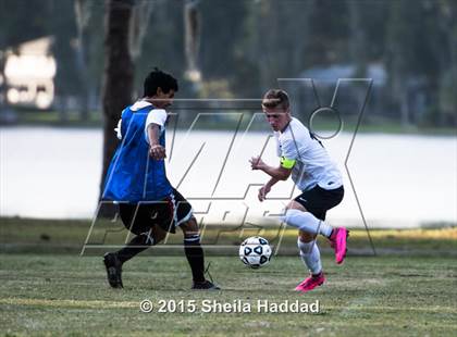 Thumbnail 2 in Universal Academy @ Carrollwood Day photogallery.