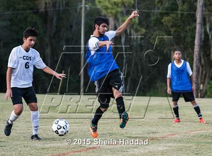 Thumbnail 2 in Universal Academy @ Carrollwood Day photogallery.
