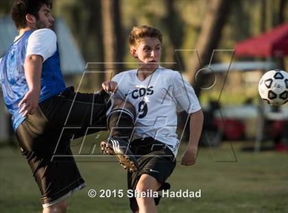 Thumbnail 3 in Universal Academy @ Carrollwood Day photogallery.