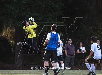 Thumbnail 3 in Universal Academy @ Carrollwood Day photogallery.