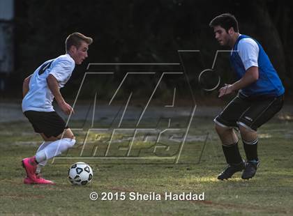 Thumbnail 1 in Universal Academy @ Carrollwood Day photogallery.