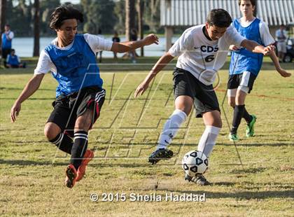 Thumbnail 3 in Universal Academy @ Carrollwood Day photogallery.