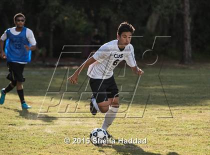 Thumbnail 2 in Universal Academy @ Carrollwood Day photogallery.