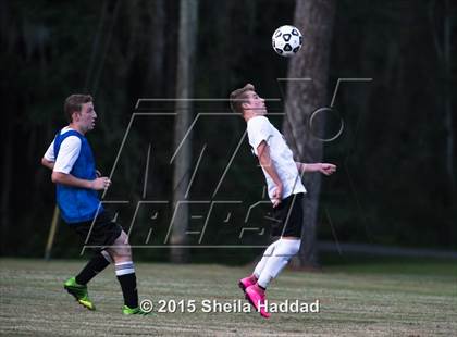 Thumbnail 2 in Universal Academy @ Carrollwood Day photogallery.