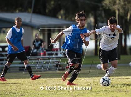 Thumbnail 3 in Universal Academy @ Carrollwood Day photogallery.