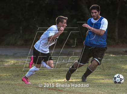 Thumbnail 2 in Universal Academy @ Carrollwood Day photogallery.