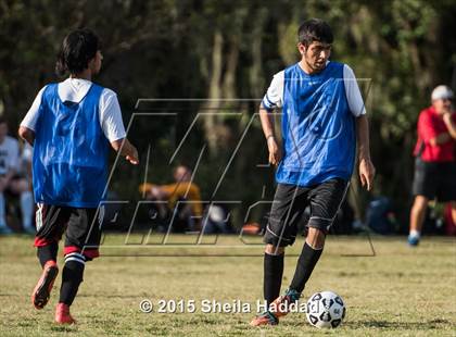 Thumbnail 1 in Universal Academy @ Carrollwood Day photogallery.