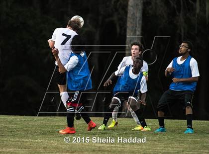Thumbnail 1 in Universal Academy @ Carrollwood Day photogallery.