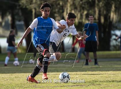 Thumbnail 1 in Universal Academy @ Carrollwood Day photogallery.
