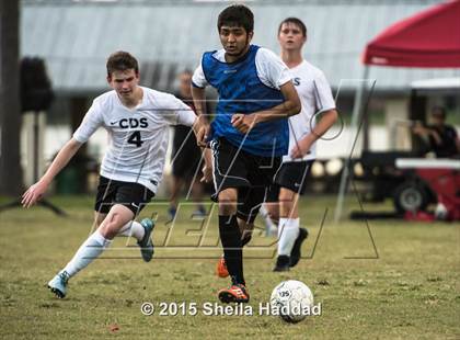 Thumbnail 2 in Universal Academy @ Carrollwood Day photogallery.