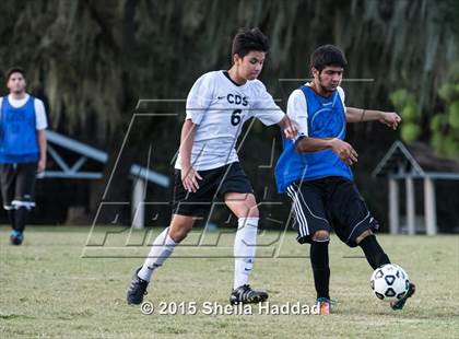 Thumbnail 1 in Universal Academy @ Carrollwood Day photogallery.