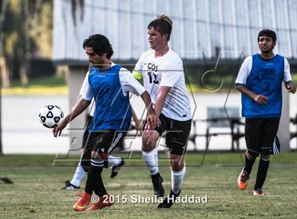 Thumbnail 3 in Universal Academy @ Carrollwood Day photogallery.