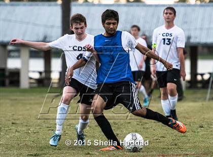 Thumbnail 3 in Universal Academy @ Carrollwood Day photogallery.