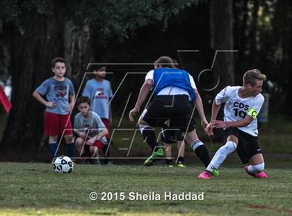 Thumbnail 2 in Universal Academy @ Carrollwood Day photogallery.