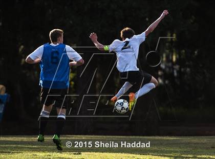 Thumbnail 3 in Universal Academy @ Carrollwood Day photogallery.