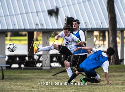 Thumbnail 2 in Universal Academy @ Carrollwood Day photogallery.
