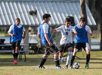 Thumbnail 2 in Universal Academy @ Carrollwood Day photogallery.