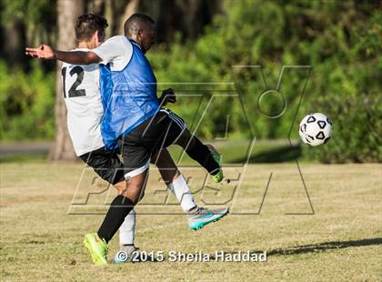 Thumbnail 2 in Universal Academy @ Carrollwood Day photogallery.