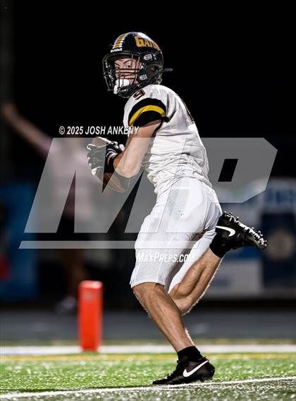 Thumbnail 2 in Live Oak @ St. Amant photogallery.