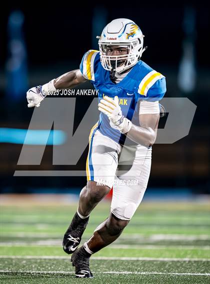 Thumbnail 3 in Live Oak @ St. Amant photogallery.